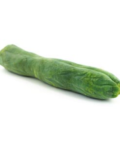 Bolivian Torch 'monstrose' (Penis Plant)