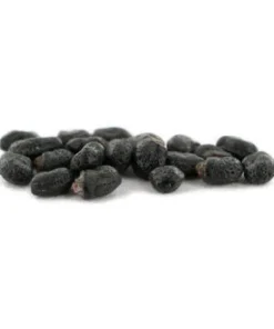 SAN PEDRO (ECHINOPSIS PACHANOI) 20 SEEDS