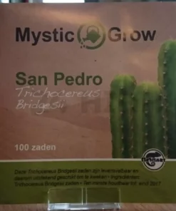 San Pedro seeds (Trichocereus bridgesii)
